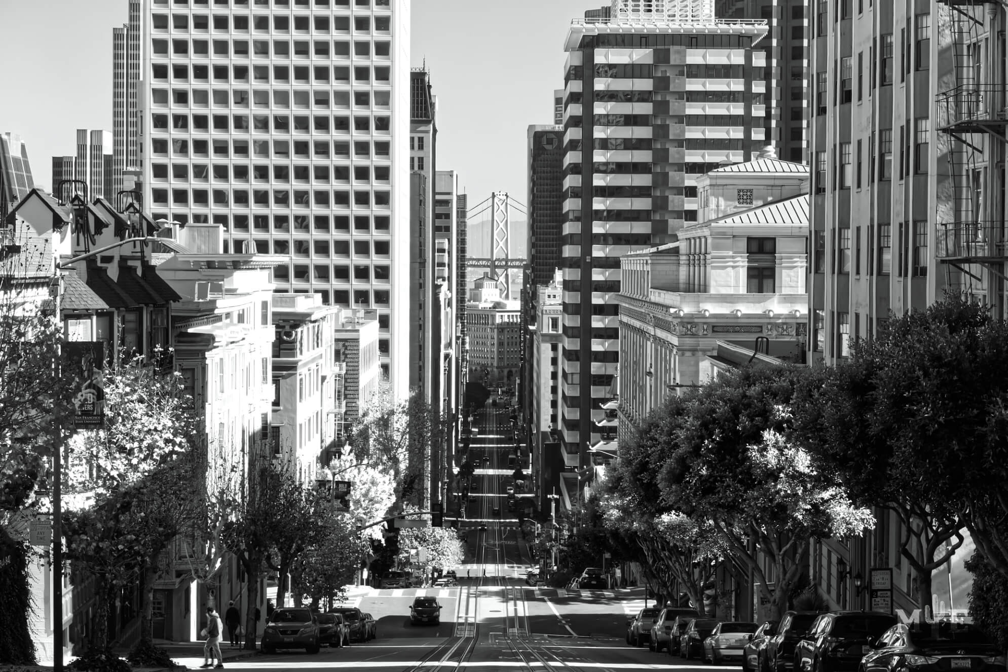 Urban Transparency 2098