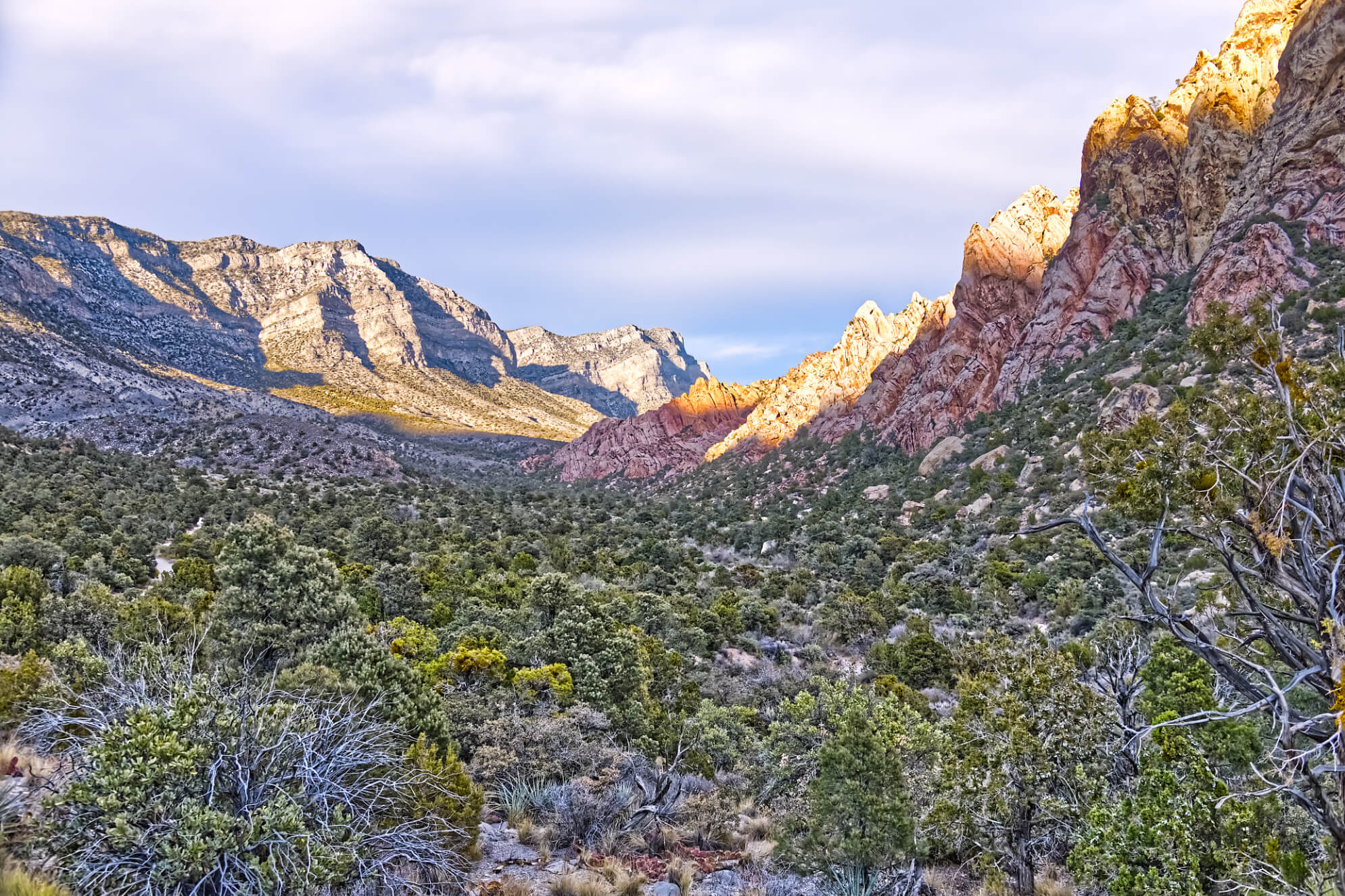 Red Rock Canyon Las Vegas