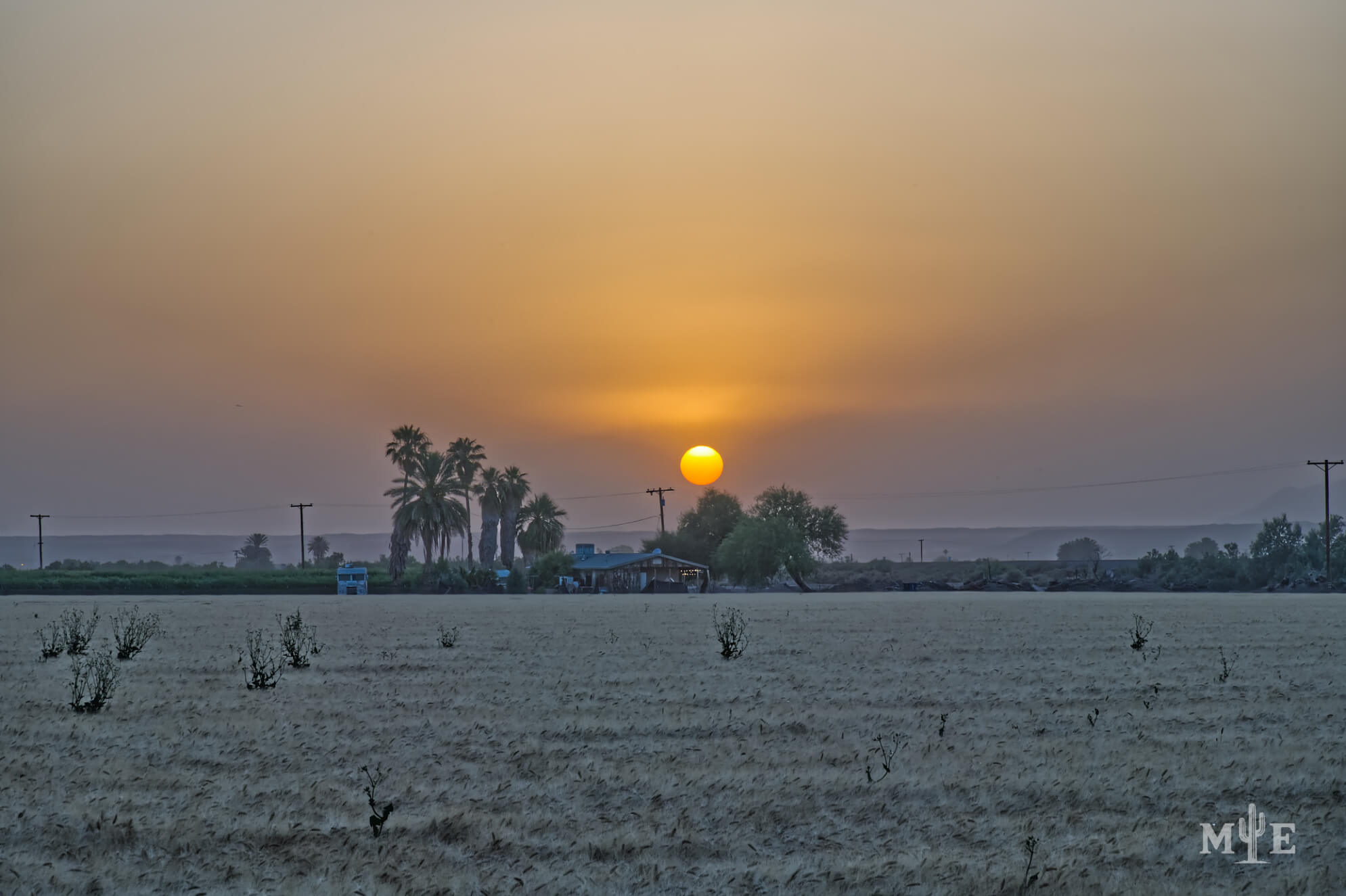 Golden Hour Escape 3109