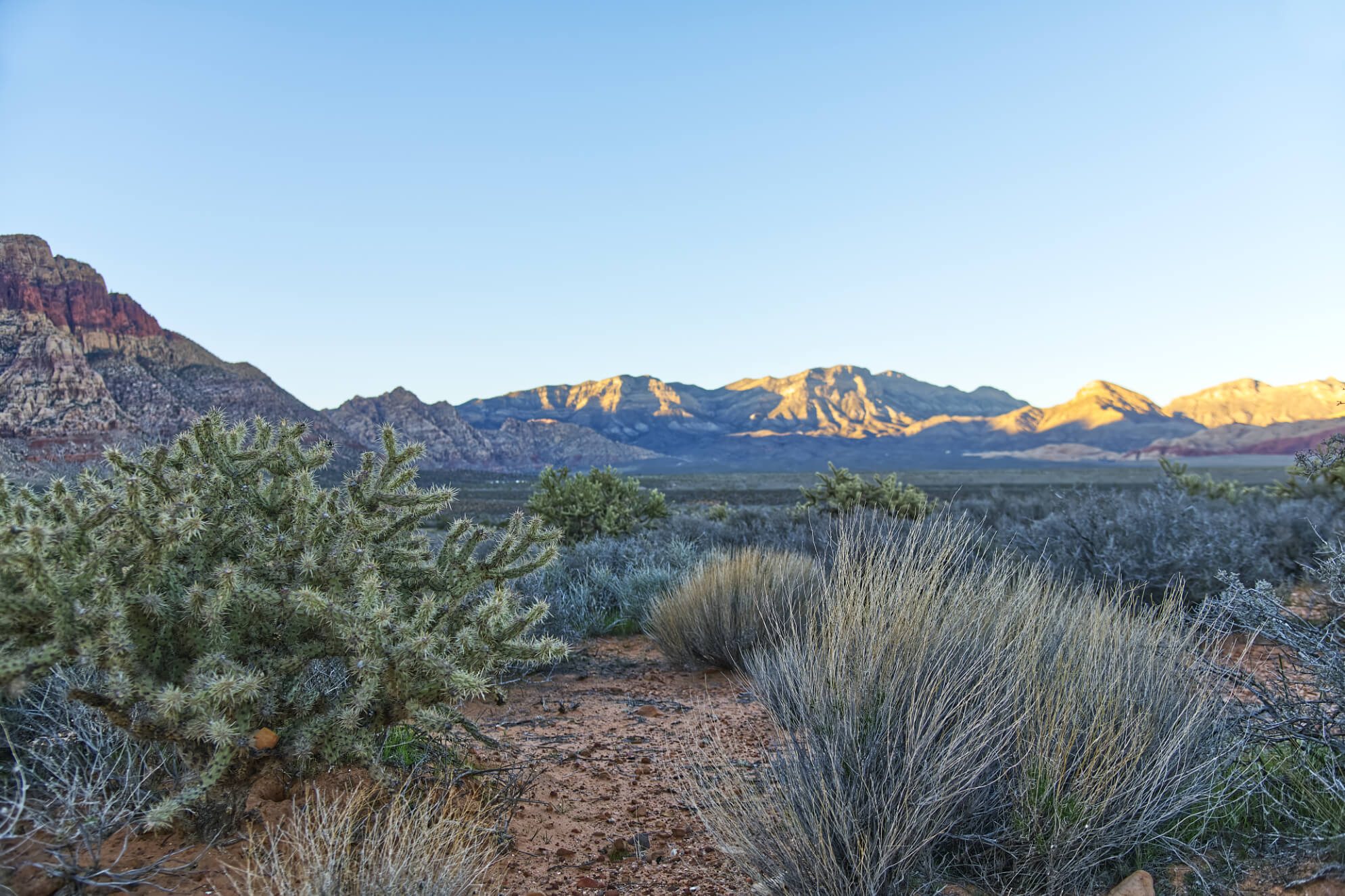 Mojave Desert