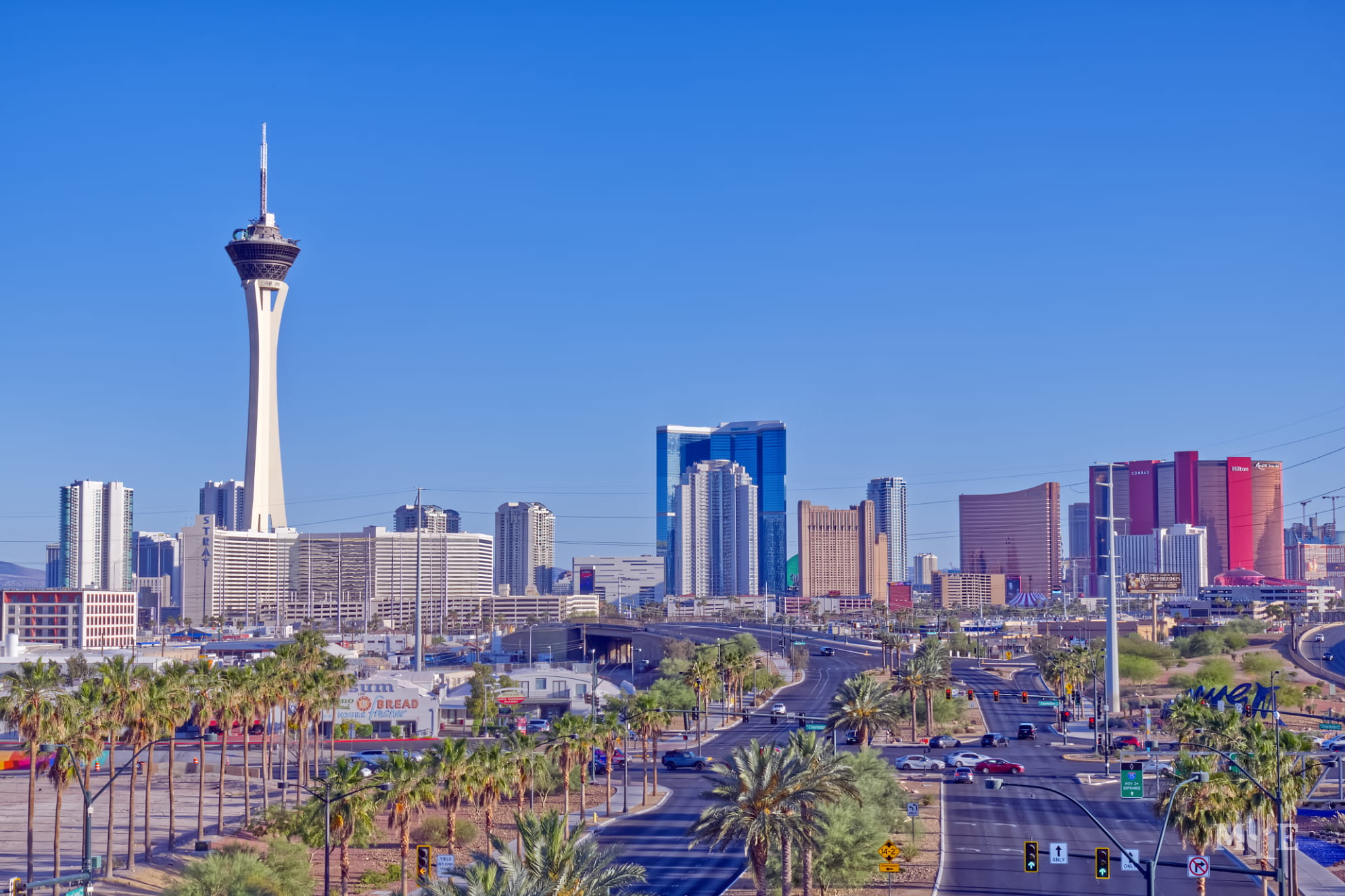 A number of prominent hotels on The Strip captured in daytime with scattered trees and misc businesses in the foreground.