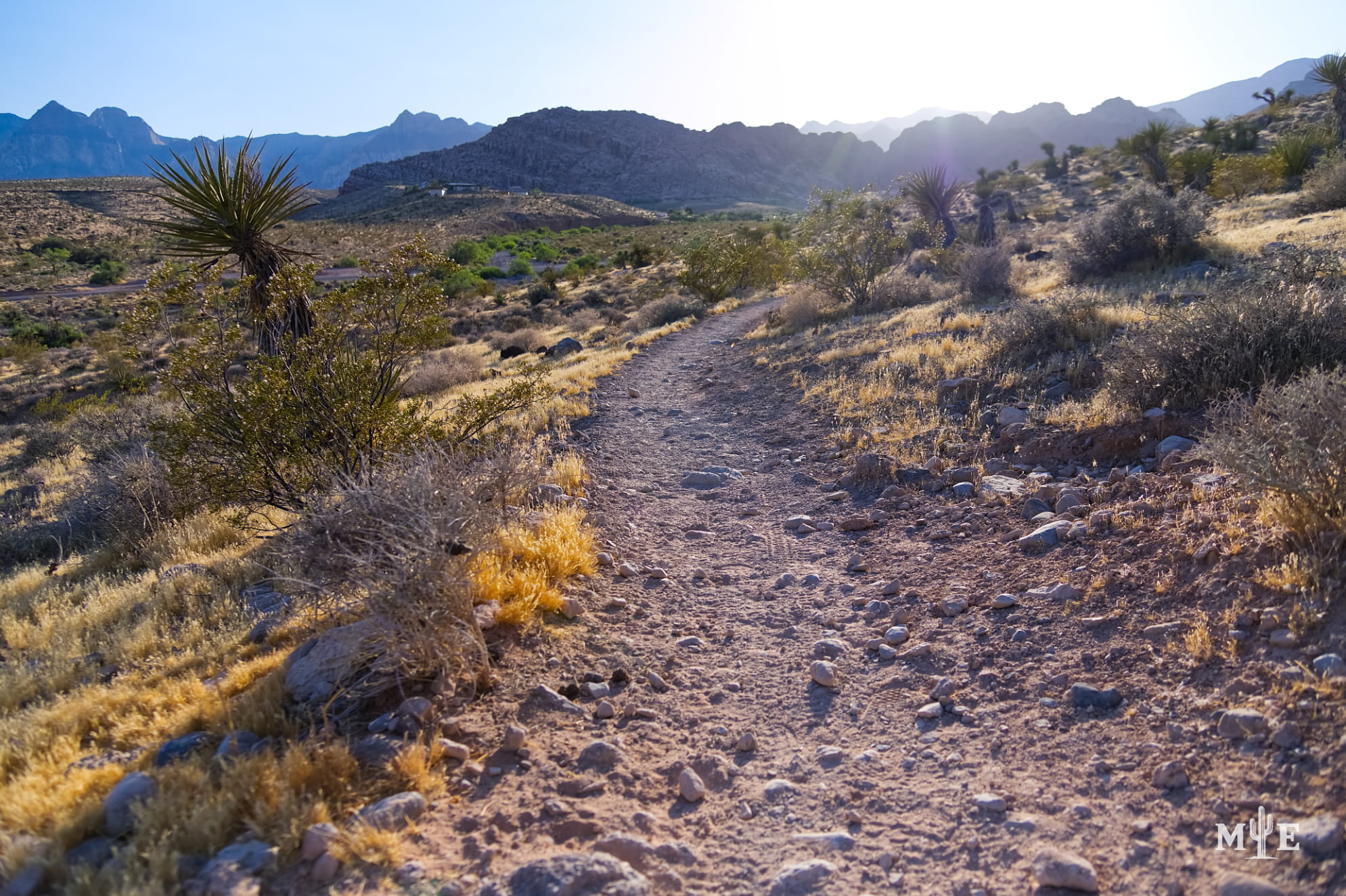 Blurred or blinding sunlight cast over a narrow, mountain trail in Southern Nevada. Desert terrain.