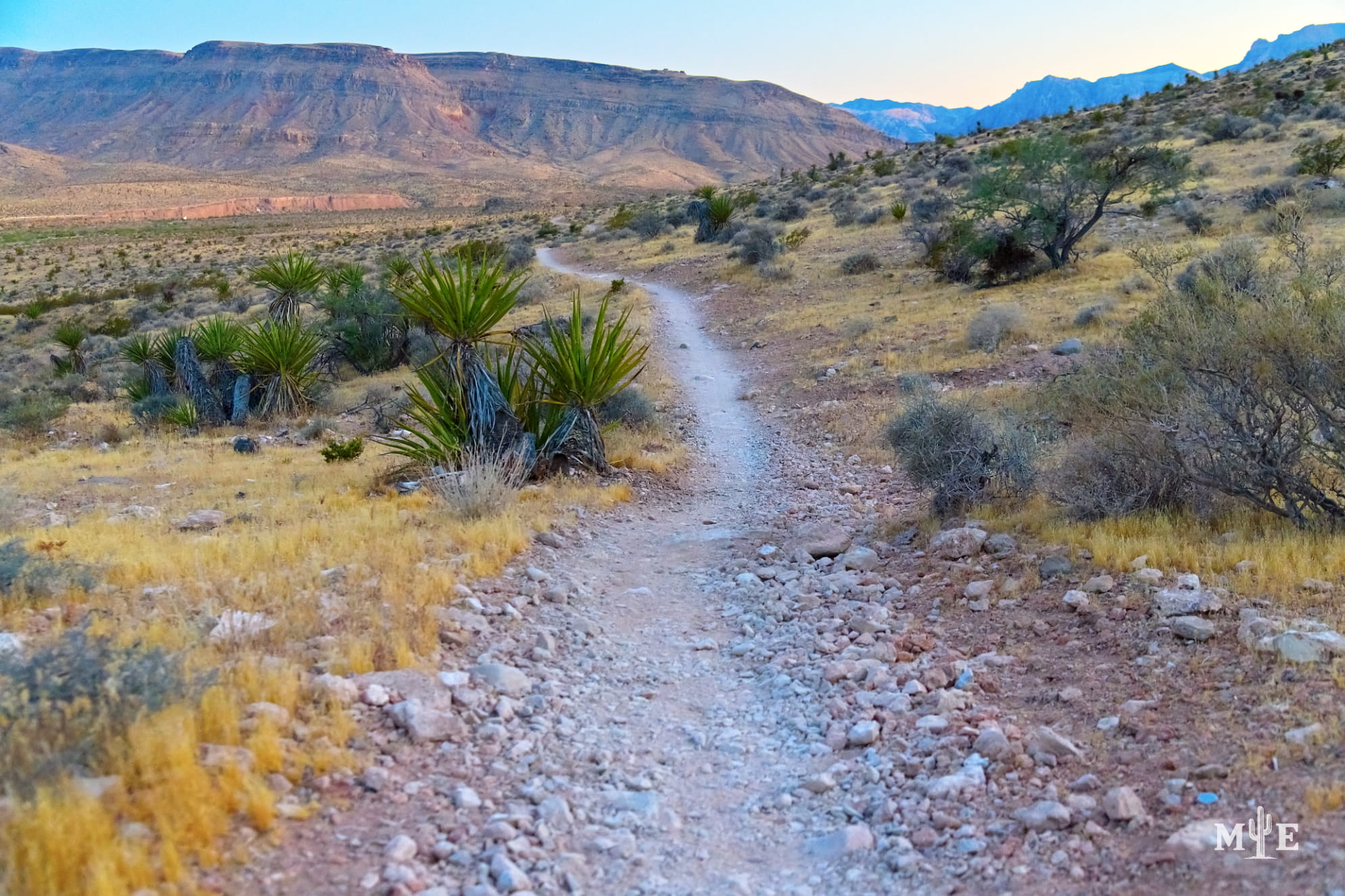 Easy Summerlin hiking trail with minimal desert brush and distant mountains captured in Red Rock Canyon late afternoon.