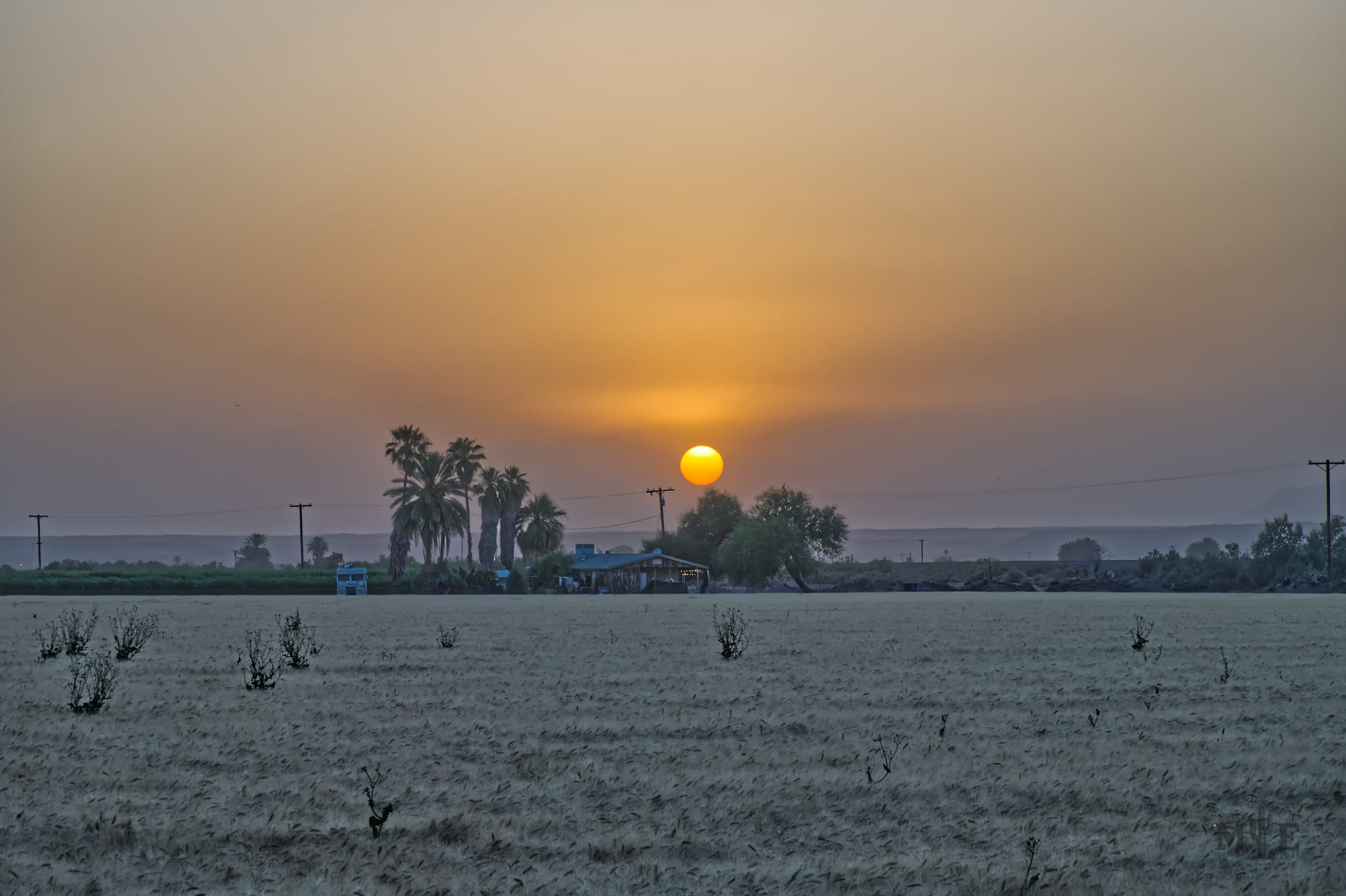 Sunset illuminating through a cloudy sky over a dense field of crops. Trees and homestead in the distant center.