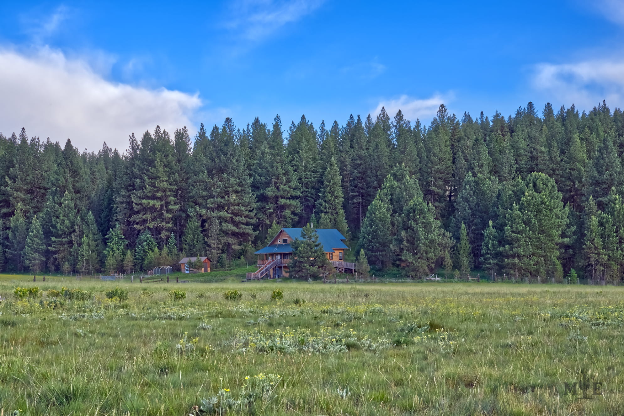 Isolated cabin in the woods engulfed in dense pine trees. Sitting atop of a spacious land under a blue sky.