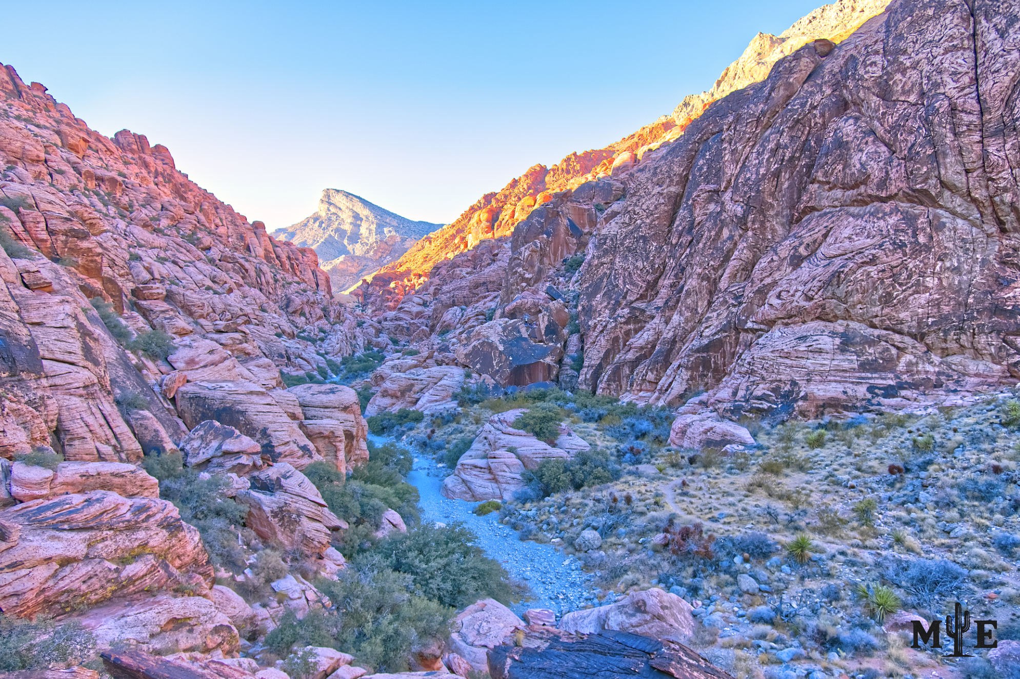 Rugged red rock ravine that's actually pinkish with a clearly defined trail running straight through the bottom.