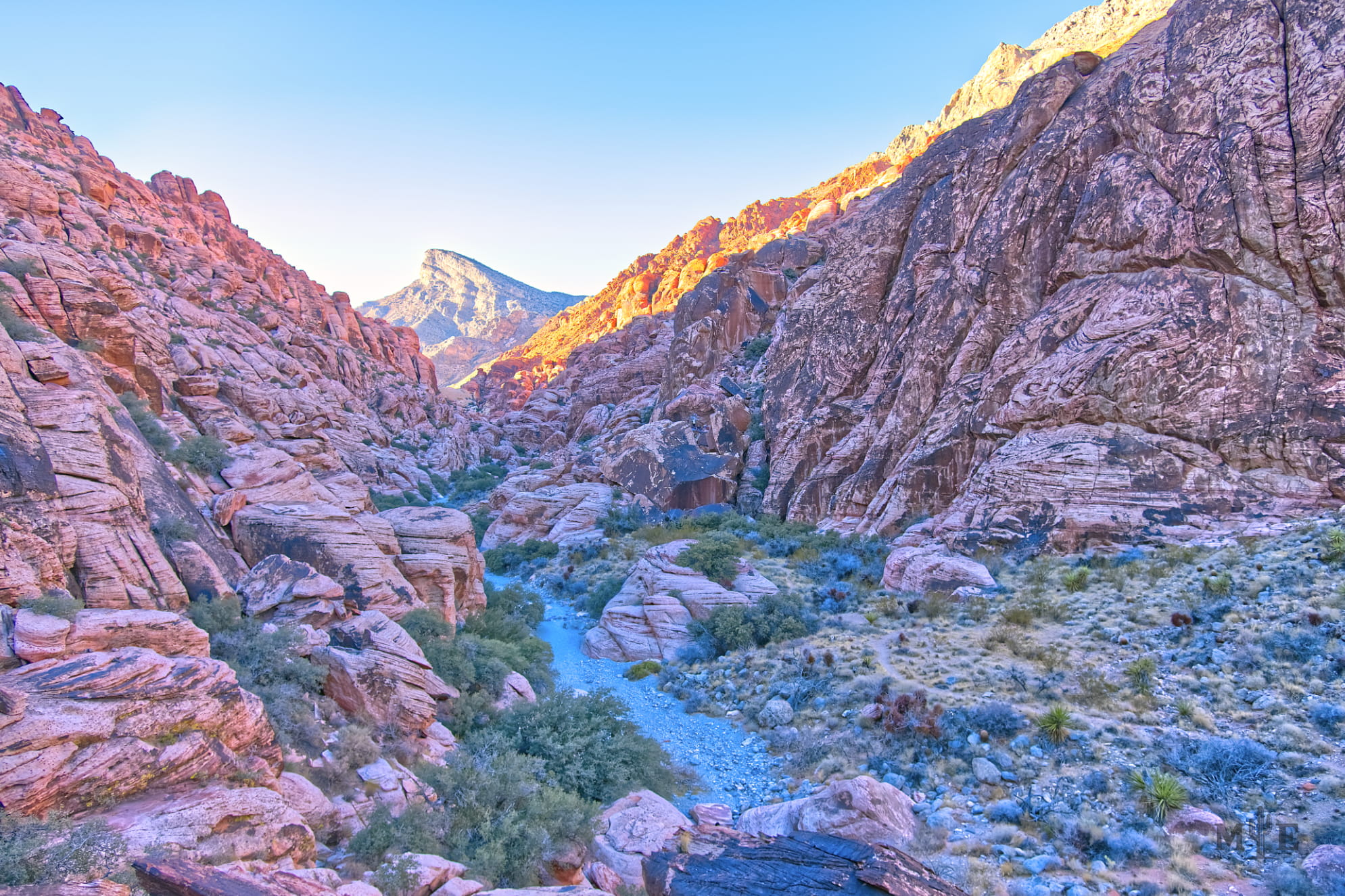 Rugged red rock ravine that's actually pinkish with a clearly defined trail running straight through the bottom.