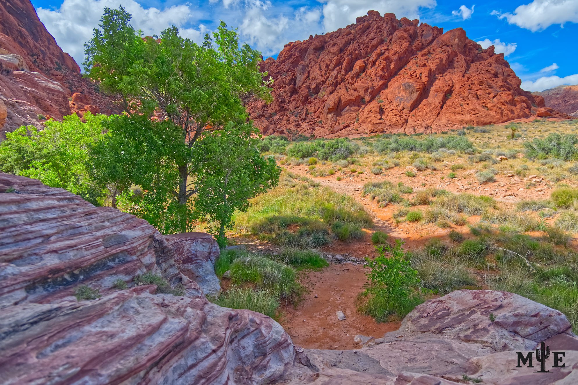 Picturesque trail through Red Rock Canyon leading toward Ash Spring, with sculpted sandstone, an ash trees and greenery.
