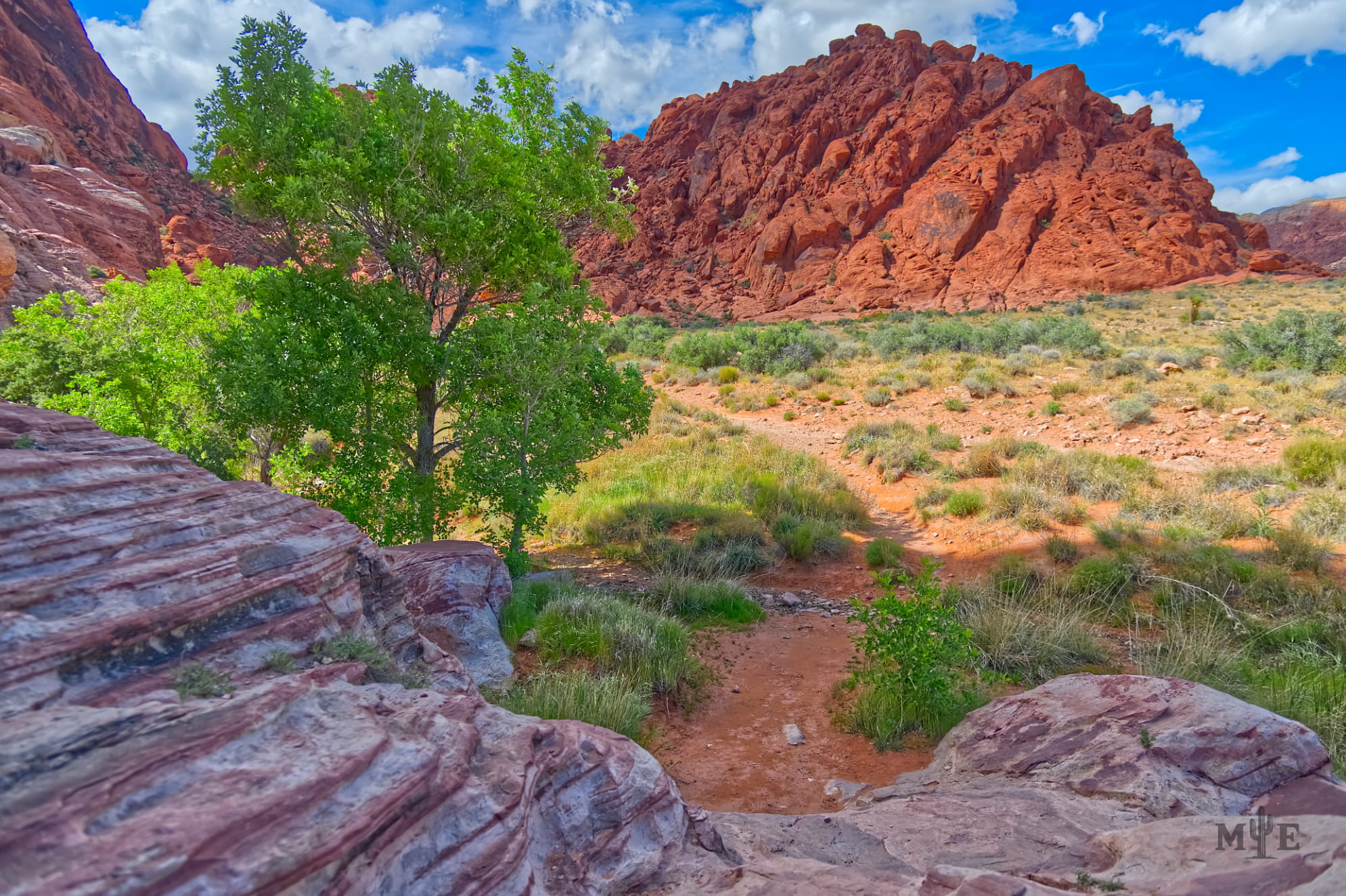 Picturesque hiking trail in Red Rock Canyon Las Vegas leading to Ash Spring with beautiful rocks and lush greenery.