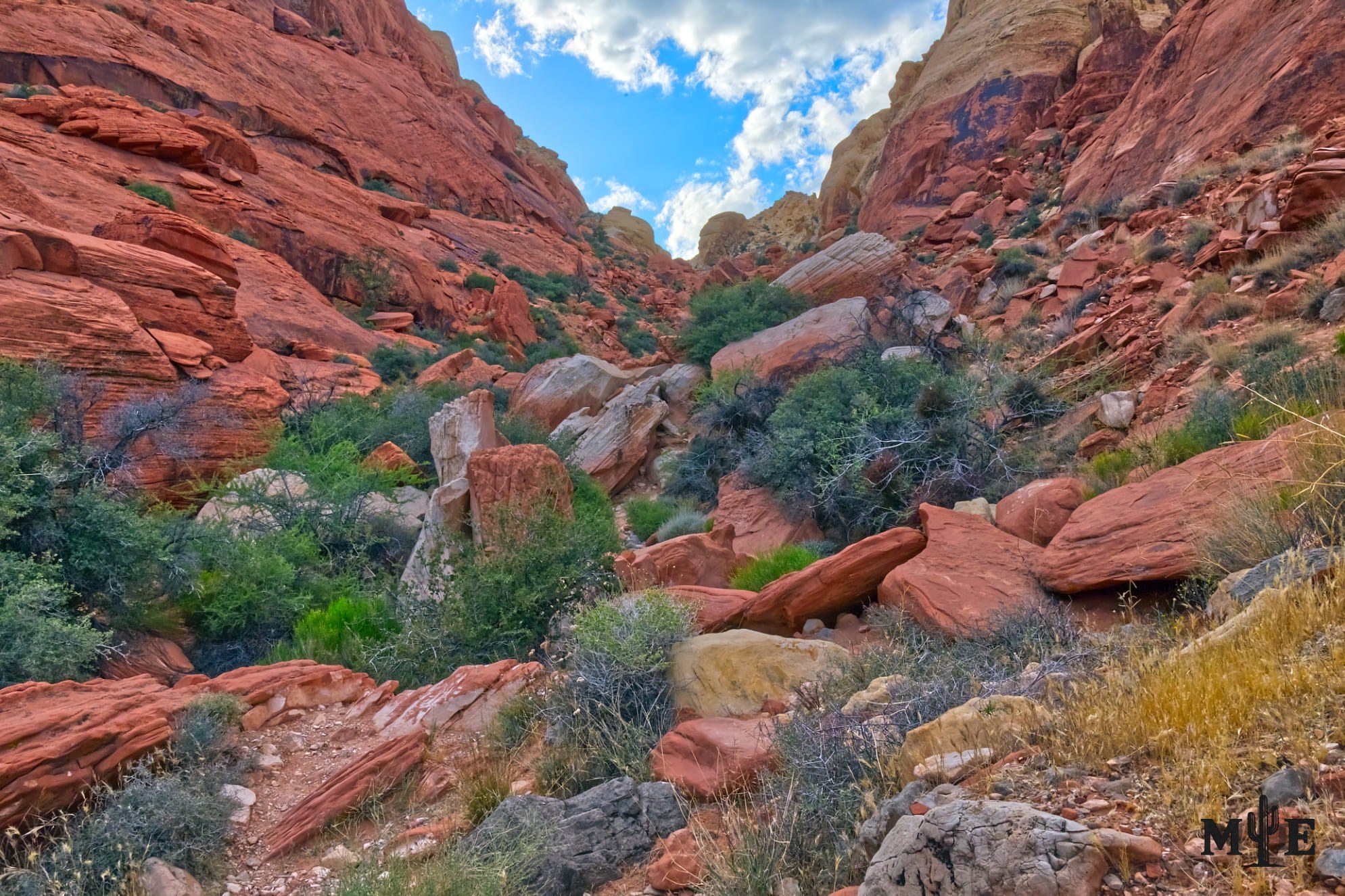 A boulder-filled Ash Canyon beneath a narrow opening of blue sky in the rugged La Madre Mountain Wilderness near Las Vegas.
