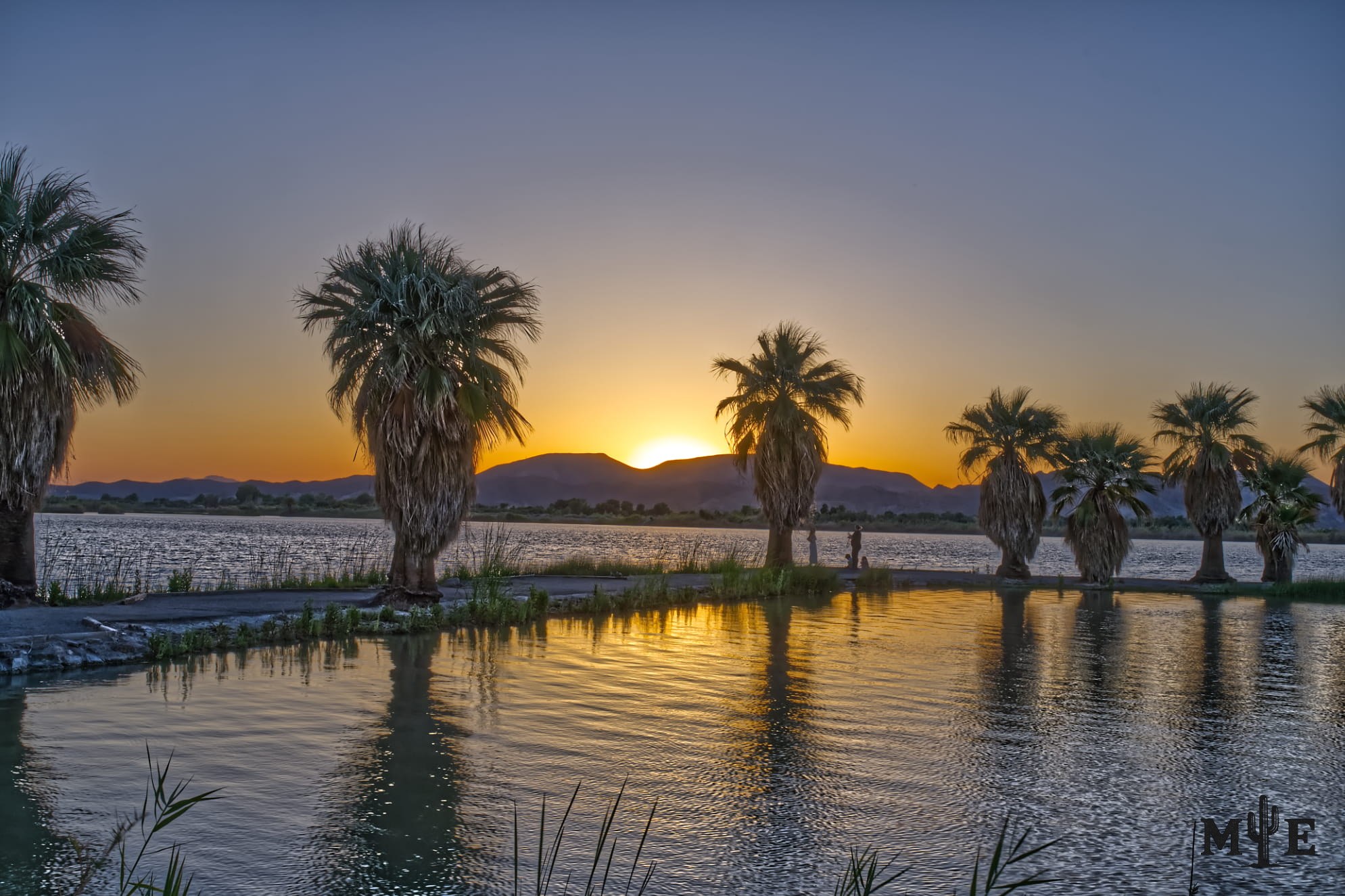 Golden-hour light reflecting across calm Mittry Lake near Yuma, with palm trees crossing a sky fading from blue to warm yellow.