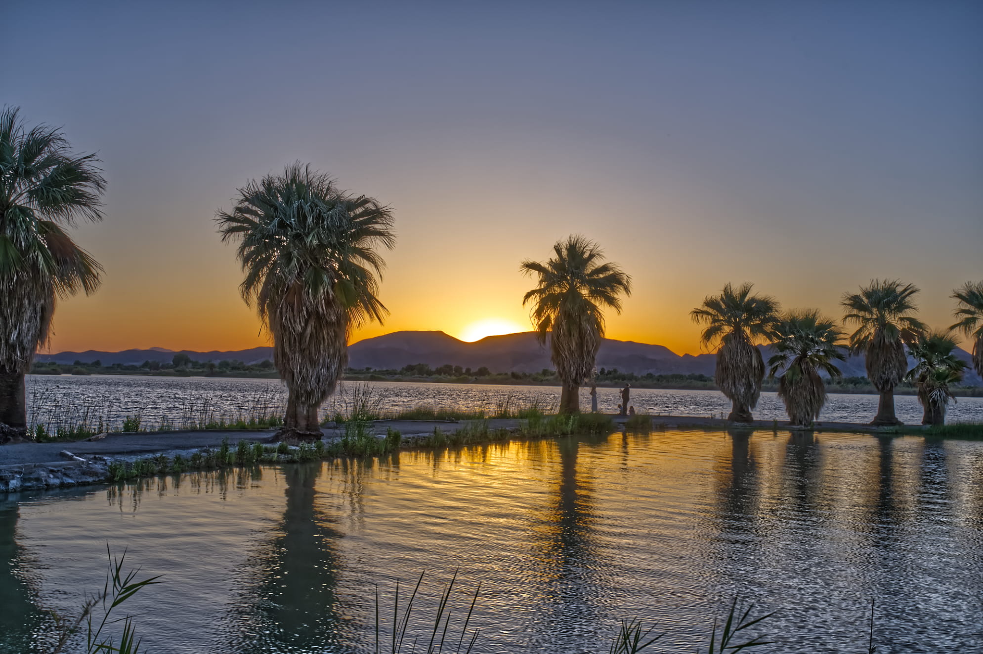 Golden hour sunset with calm lake and sun lit reflection. Palm trees intersecting the scene. Tropical sunset near Yuma, AZ.