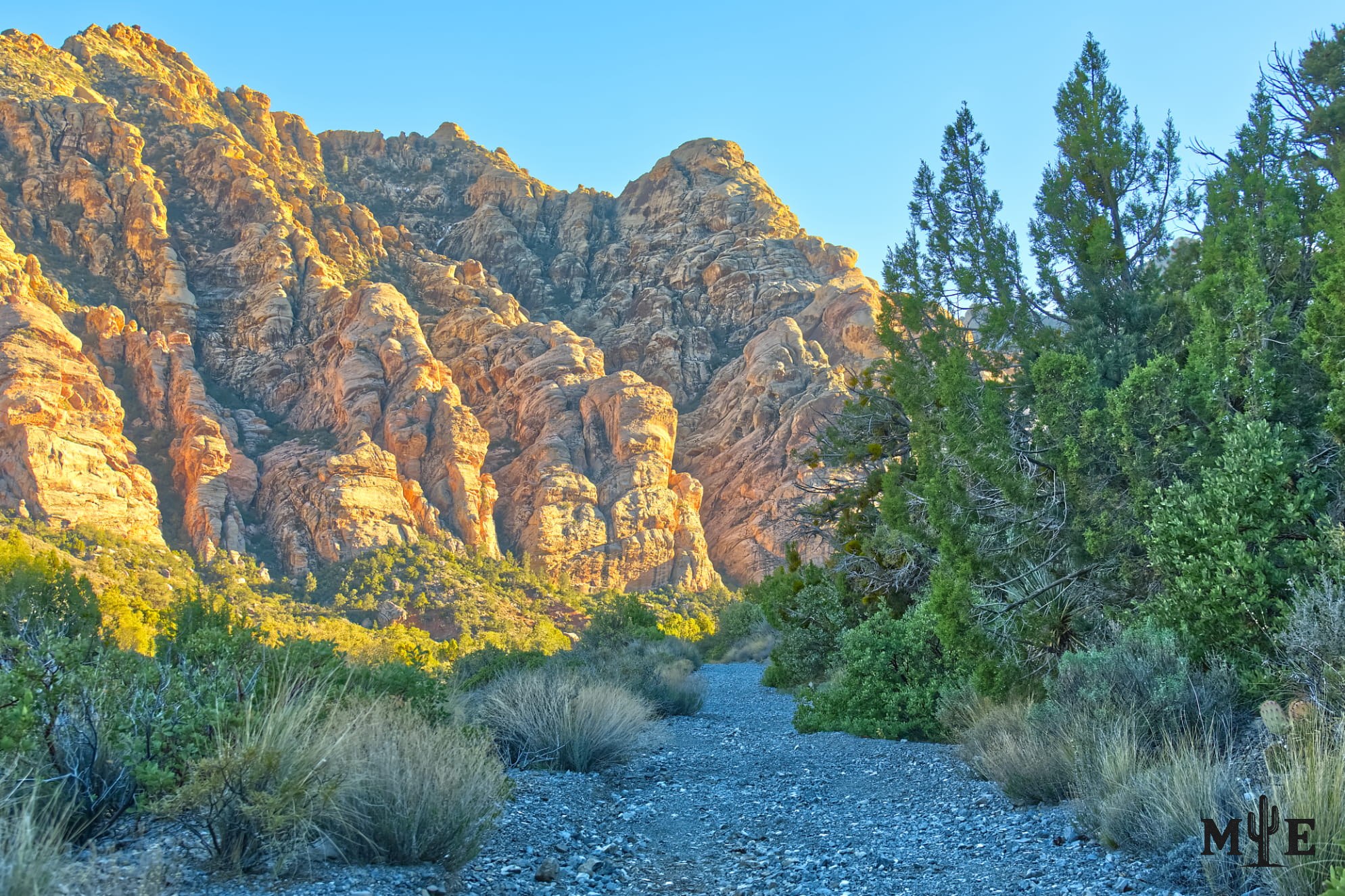 Very rugged sunset lit sandstone mountains in Red Rock Canyon Las Vegas. Flat gravel trail and lush green trees.