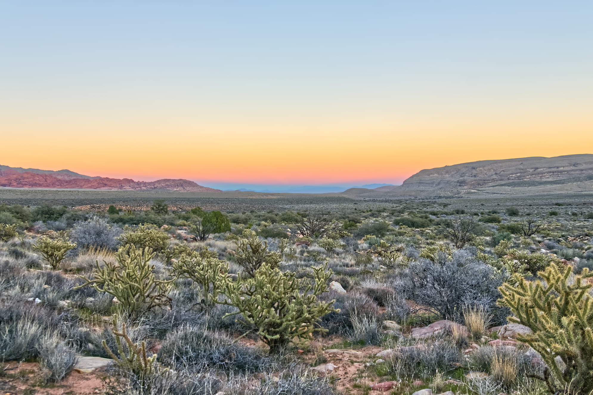 Sublte sunset colors stretching across a densely packed desert basin. Peaceful Mojave Desert scenery.