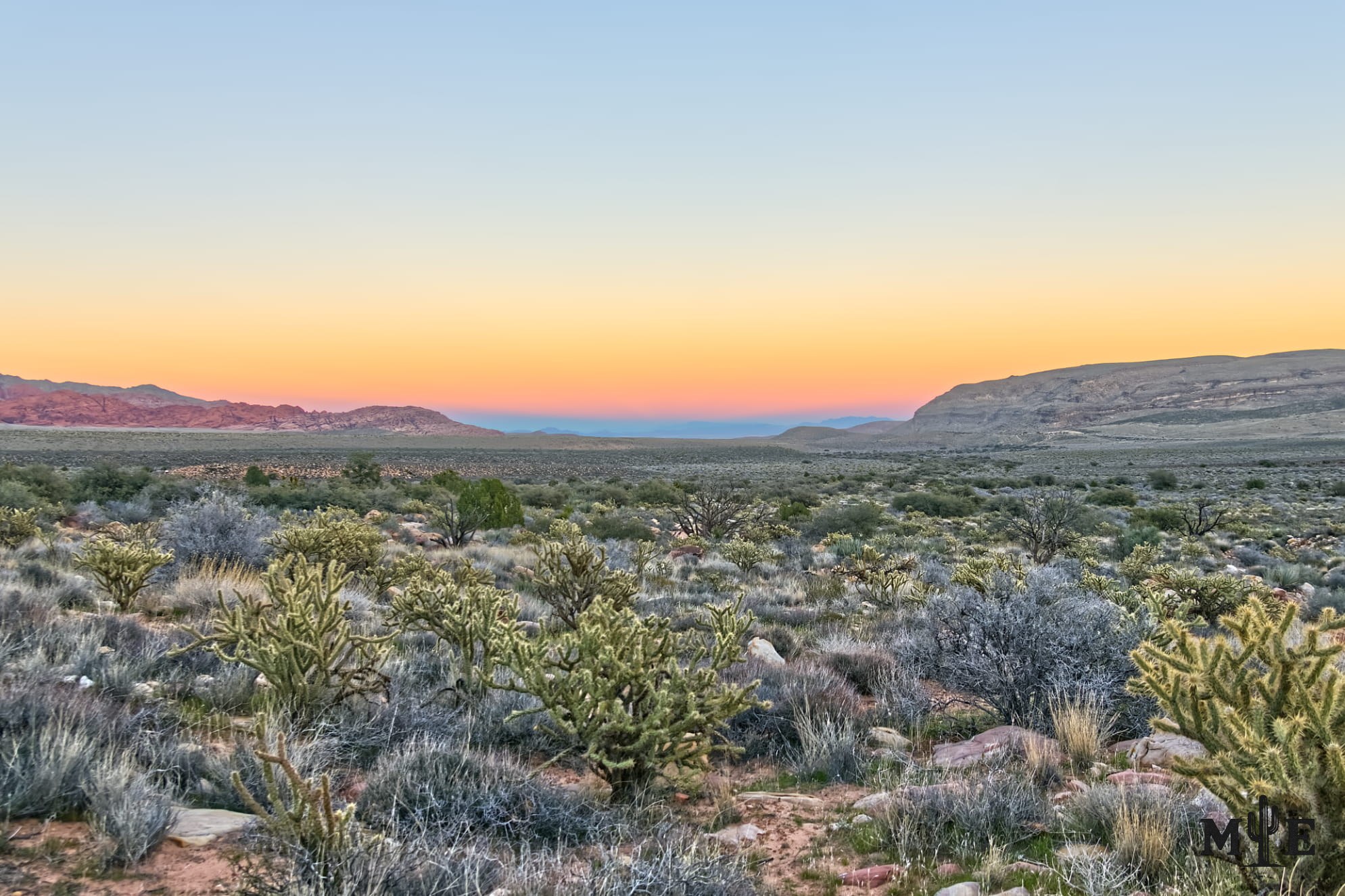 Subtle sunset colors spreading across a densely textured Mojave Desert basin in a quiet evening landscape.