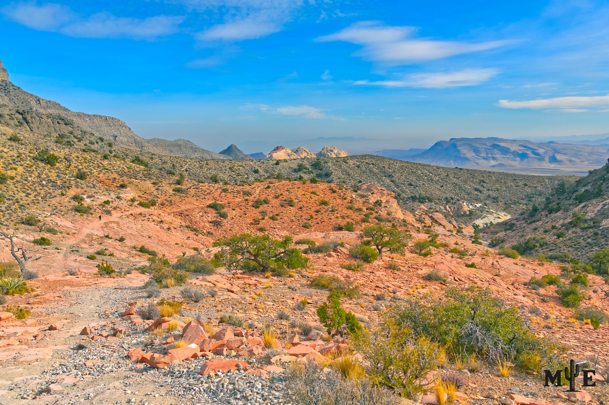 Desert Landscape